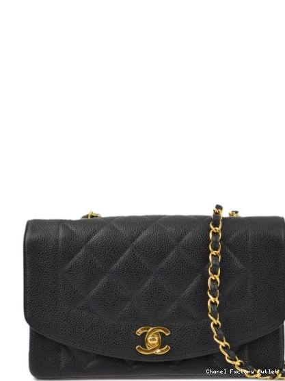 Affordable HOT SALE small bag Women shoulder 1995 CHANEL Diana 0216